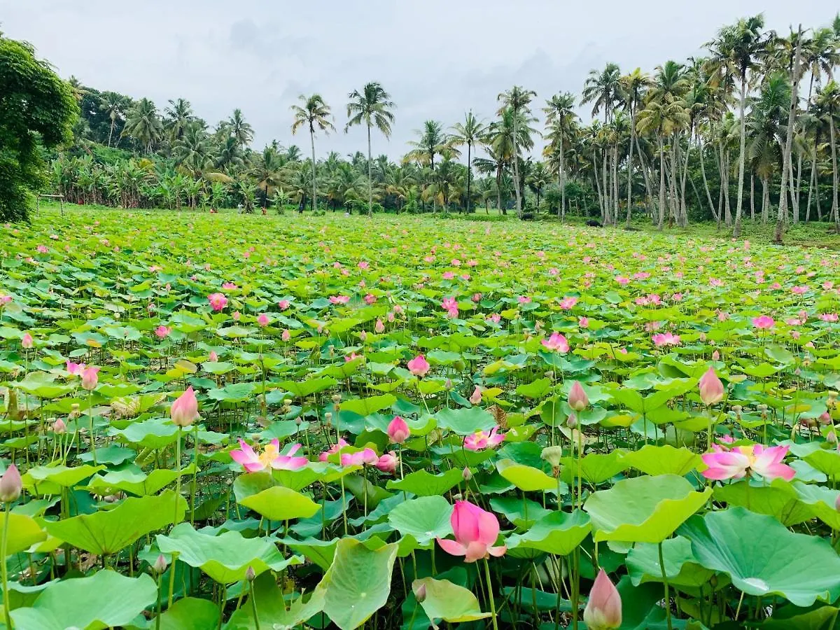 Maadathil Cottages Varkala Station touristique
